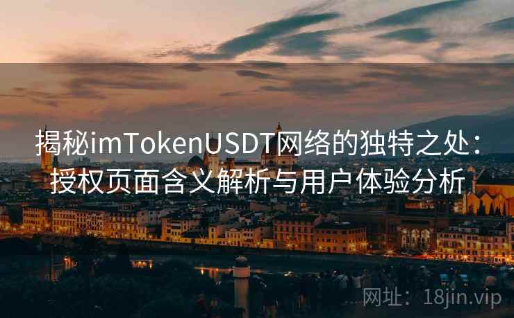 揭秘imTokenUSDT网络的独特之处：授权页面含义解析与用户体验分析